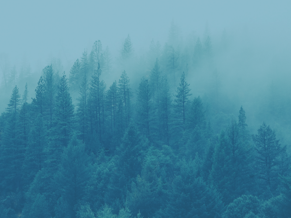 Legal assistance for companies: LegalLAB® Legal assistance for companies: LegalLAB®